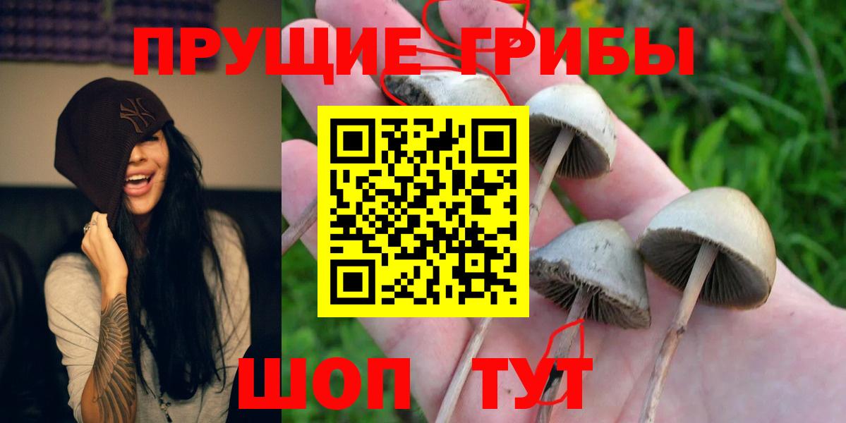 наркошоп  Галлюциногенные грибы мухоморы  Вход с VPN  Галлюциногенные грибы мухоморы  Зерноград 